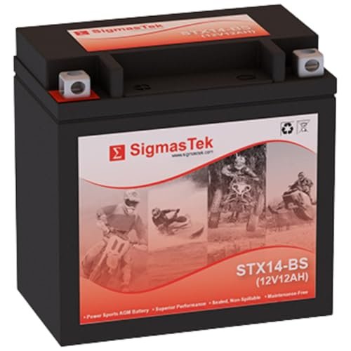 EverStart Powersport Battery ES14BS Complete Guide and Review