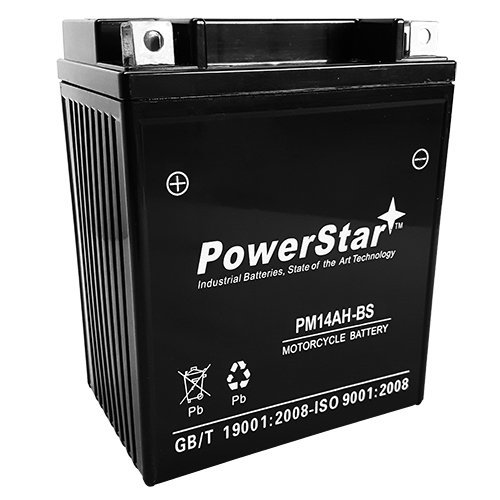 14A-A2 Battery: Complete Guide to the EverStart Powersport ES14AA2