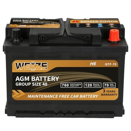 EverStart Platinum AGM Battery
